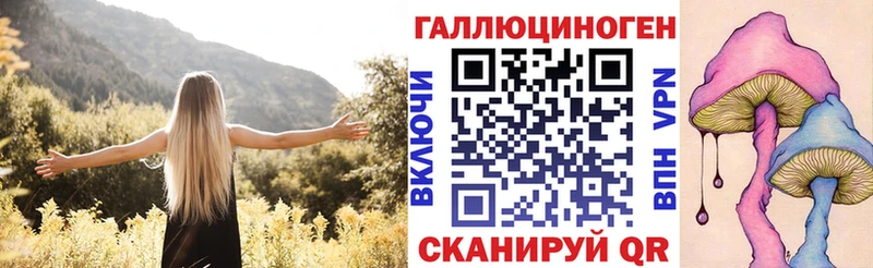 Купить  Миасс  Галлюциногенные грибы Psilocybine cubensis 